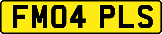 FM04PLS