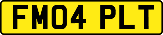 FM04PLT
