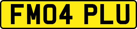 FM04PLU