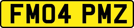 FM04PMZ