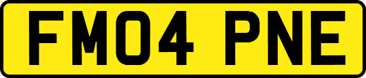 FM04PNE