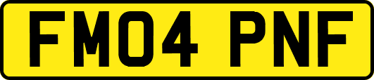 FM04PNF
