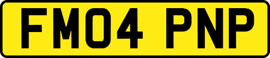 FM04PNP