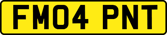 FM04PNT