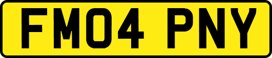 FM04PNY