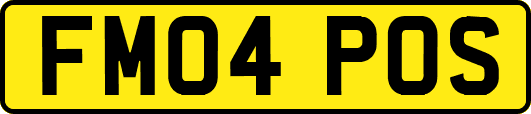 FM04POS