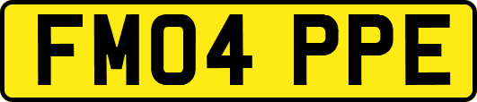FM04PPE
