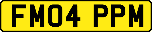 FM04PPM