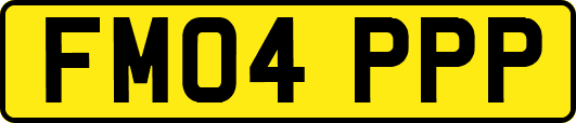 FM04PPP