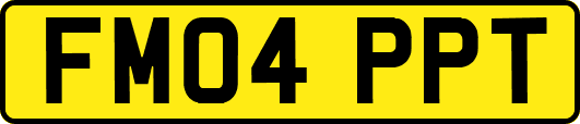 FM04PPT