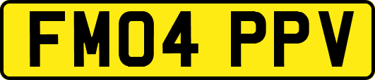 FM04PPV