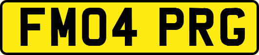 FM04PRG