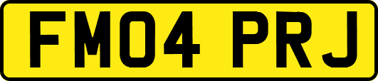 FM04PRJ