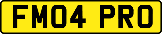 FM04PRO