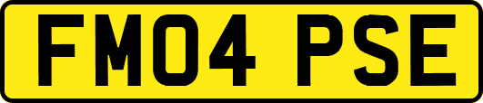 FM04PSE