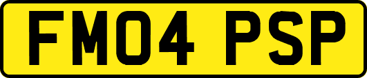FM04PSP
