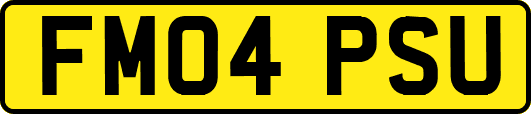 FM04PSU