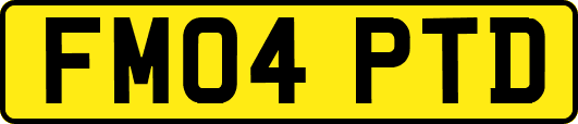 FM04PTD