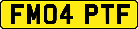 FM04PTF
