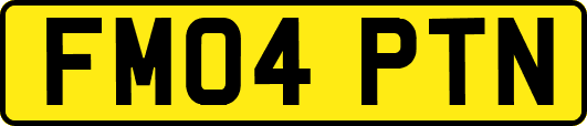 FM04PTN