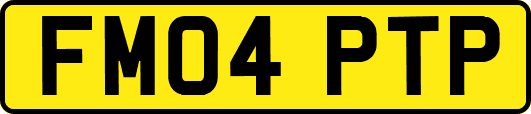 FM04PTP