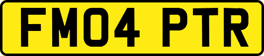 FM04PTR
