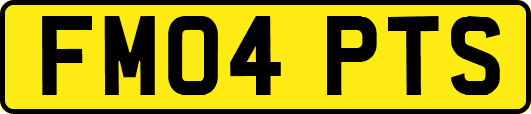 FM04PTS
