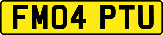 FM04PTU