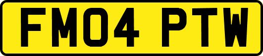 FM04PTW