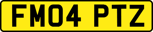 FM04PTZ