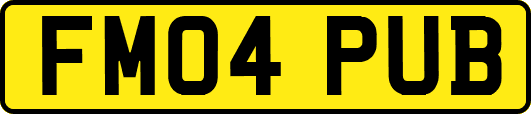 FM04PUB