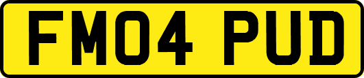 FM04PUD