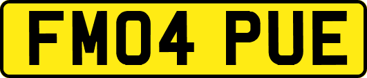 FM04PUE