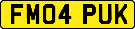 FM04PUK