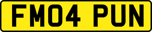 FM04PUN