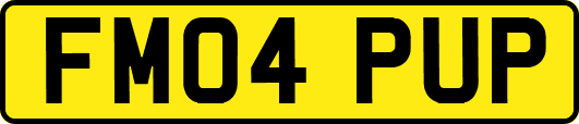 FM04PUP