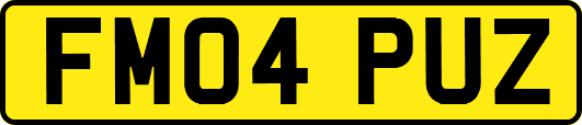FM04PUZ