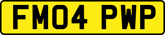 FM04PWP