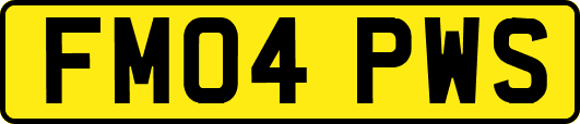 FM04PWS