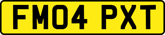 FM04PXT