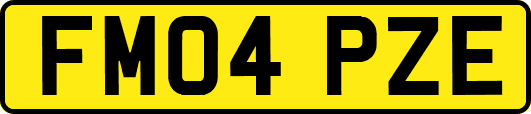 FM04PZE