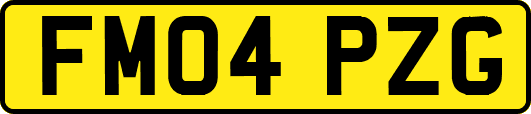 FM04PZG