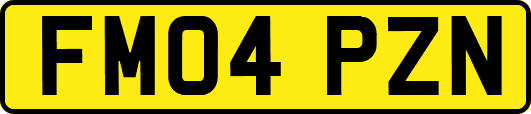 FM04PZN