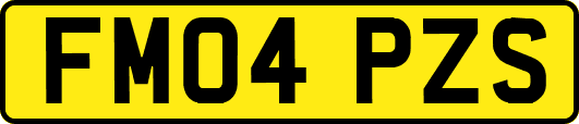 FM04PZS