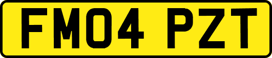 FM04PZT