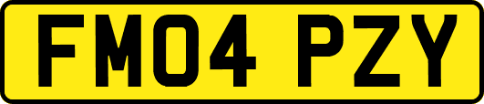 FM04PZY