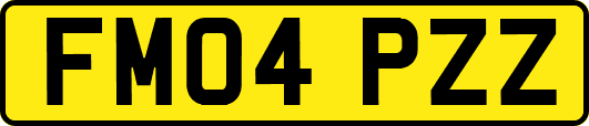FM04PZZ