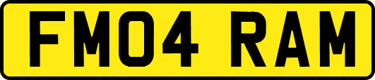 FM04RAM
