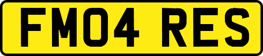 FM04RES
