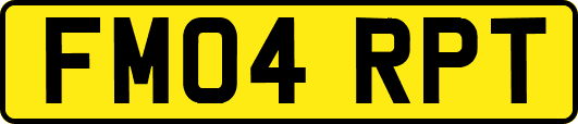 FM04RPT